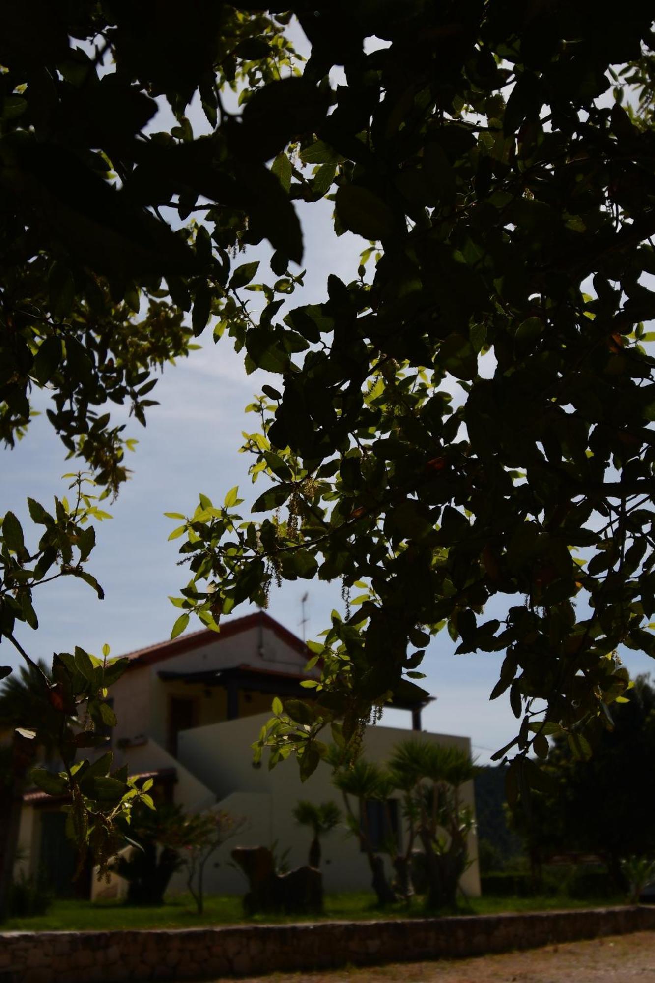 Fattoria La Traccia Villa Fertilia Kültér fotó